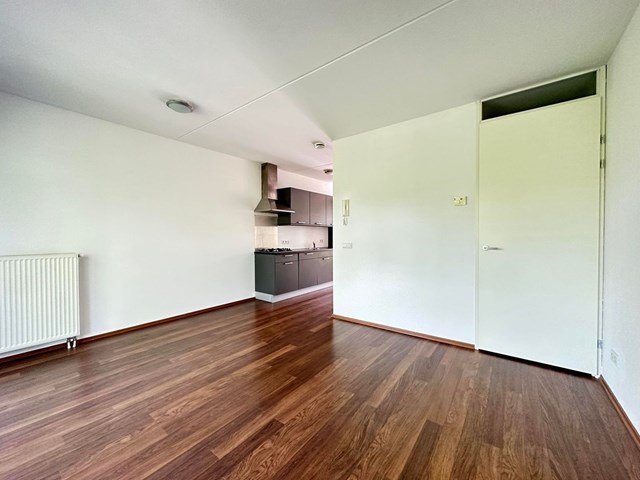 Foto 7: Eindhoven - Kleine Berg - Foto 7