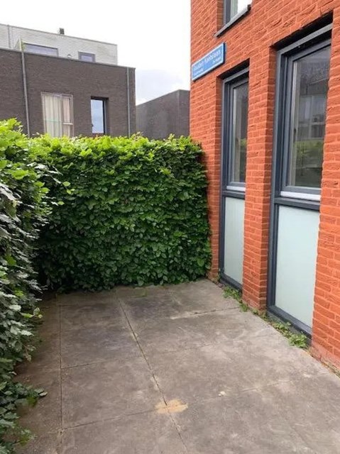 Foto 3: Vleuten - Gouden Koetslaan - Foto 3