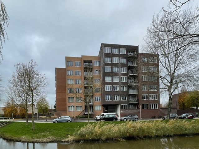 Foto 1: Zwolle - Fonteinkruid - Foto 1