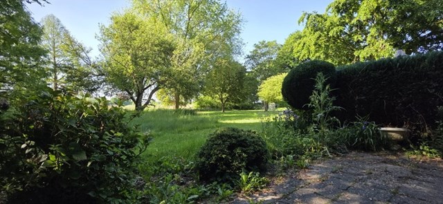 Foto 3: Zwolle - Prof. Feldmannweg - Foto 3