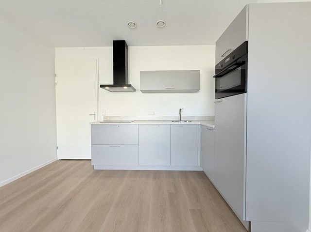 Foto 6: Hoofddorp - Concourslaan - Foto 6