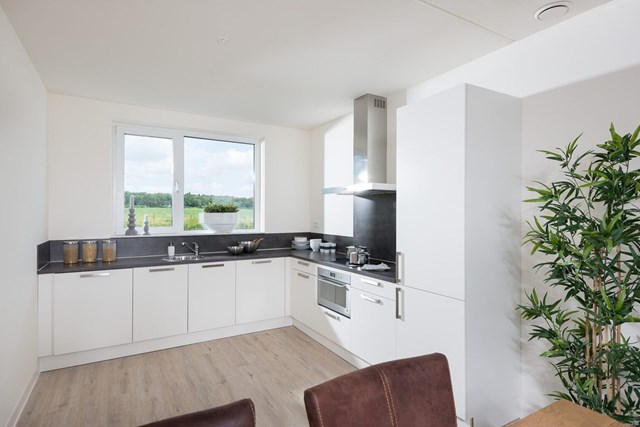 Foto 3: Enschede - Dr. van Damstraat - Foto 3