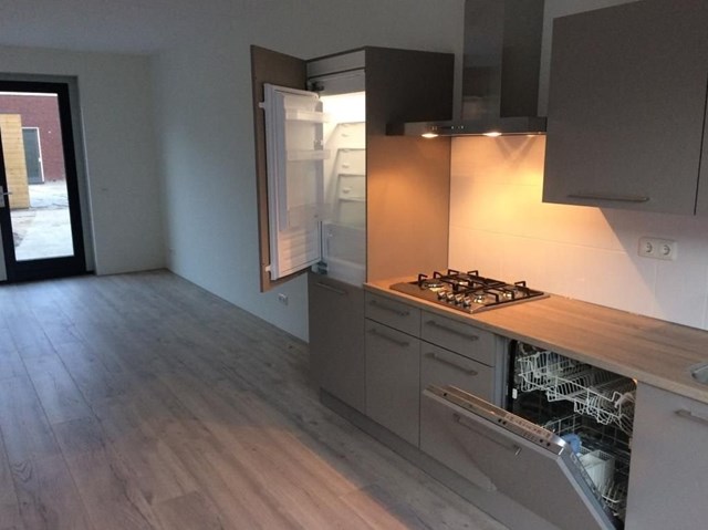 Foto 6: Schagen - Meerval - Foto 6