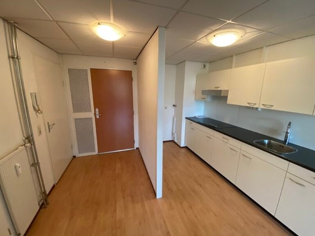 Foto 3: Heerhugowaard - Tamarixplantsoen - Foto 3