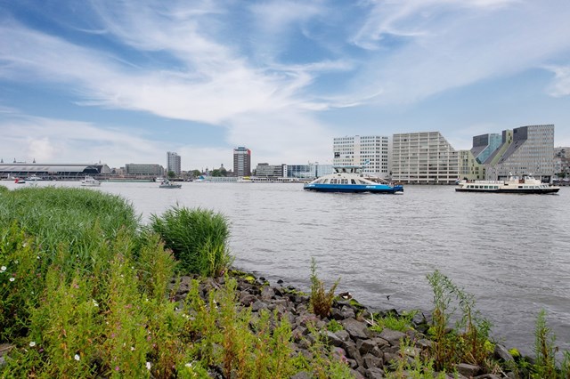 Foto 6: Amsterdam - Bundlaan - Foto 6