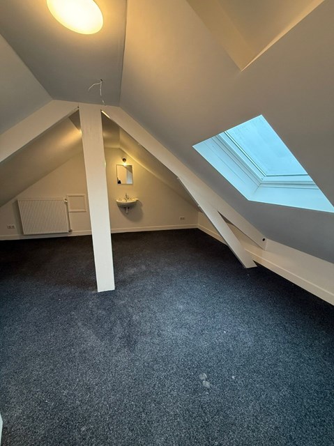 Foto 5: Tilburg - Wilhelminapark - Foto 5