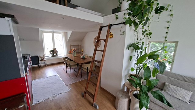 Foto 7: Den Bosch - Palmboomstraat - Foto 7