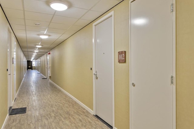 Foto 4: Eindhoven - Dommelhoefstraat - Foto 4