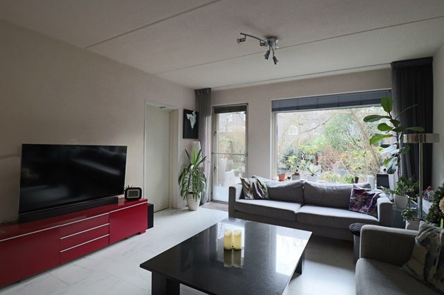 Foto 7: Amsterdam - Honingen - Foto 7