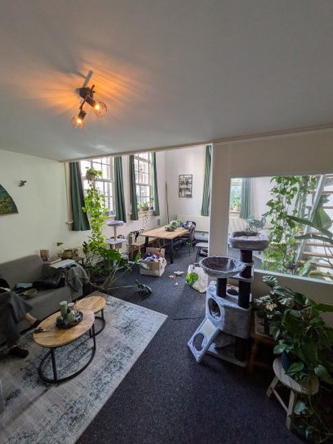 Foto 5: Delft - Koornmarkt - Foto 5