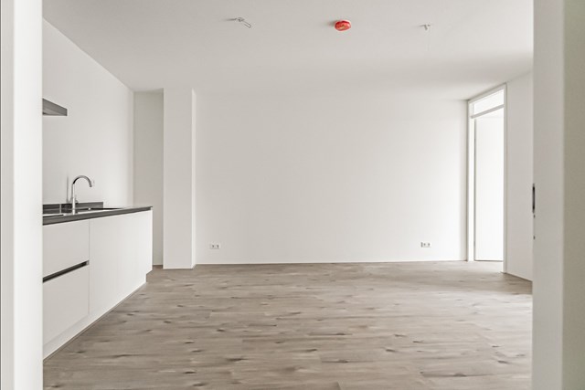 Foto 5: Haarlem - Amerikaweg - Foto 5