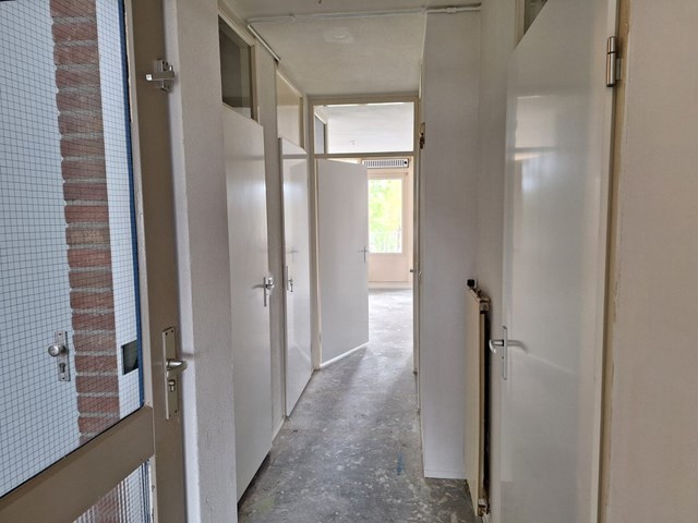 Foto 5: Rijen - Pastoor Gillisstraat - Foto 5