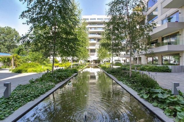 Foto 7: Amsterdam - Fred Roeskestraat - Foto 7