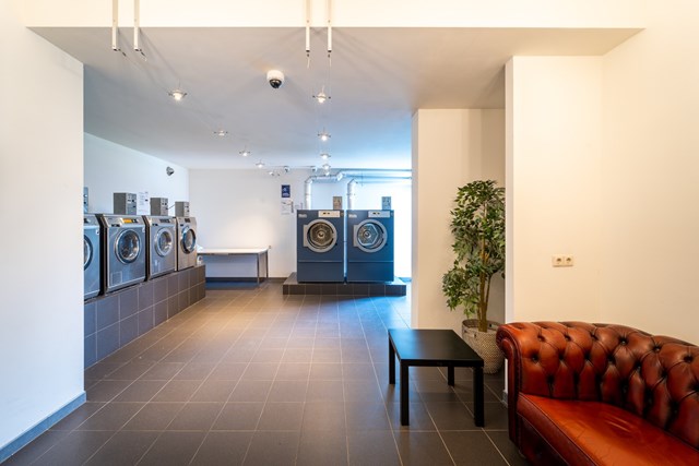 Foto 6: Groningen - Populierenlaan - Foto 6