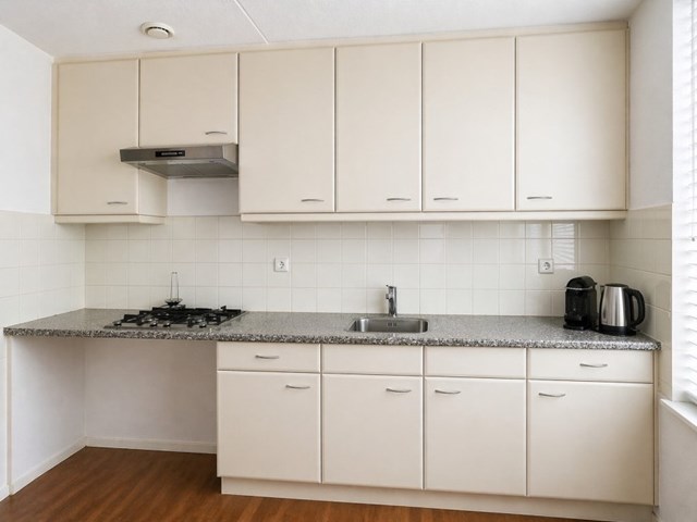 Foto 5: Diemen - Hermelijnvlinder - Foto 5