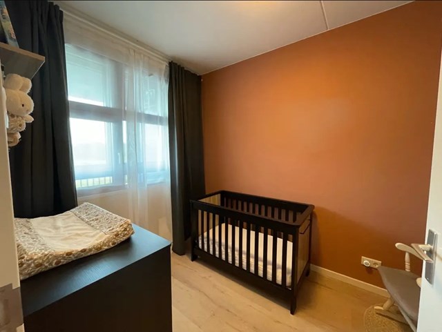 Foto 4: Helmond - Oostende - Foto 4