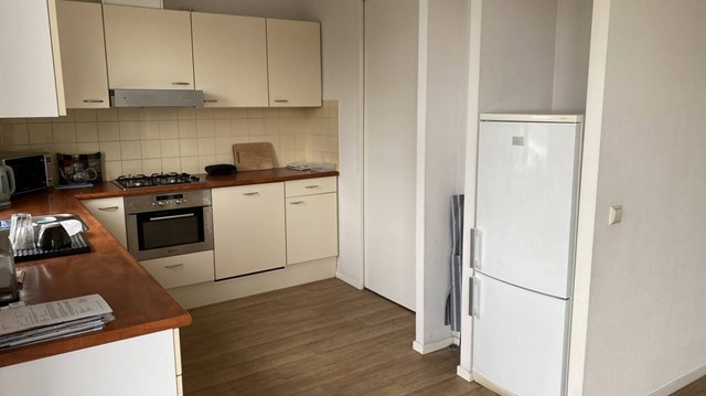 Foto 5: Zeist - Slotlaan - Foto 5