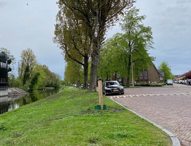 Foto 2: Haarlem - Richard Holkade - Foto 2