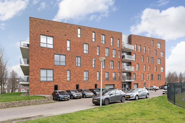 Foto 2: Vleuten - Moerasvaren - Foto 2