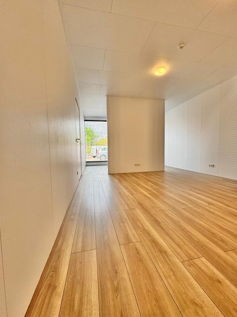 Foto 2: Eindhoven - Alard Du Hamelstraat - Foto 2