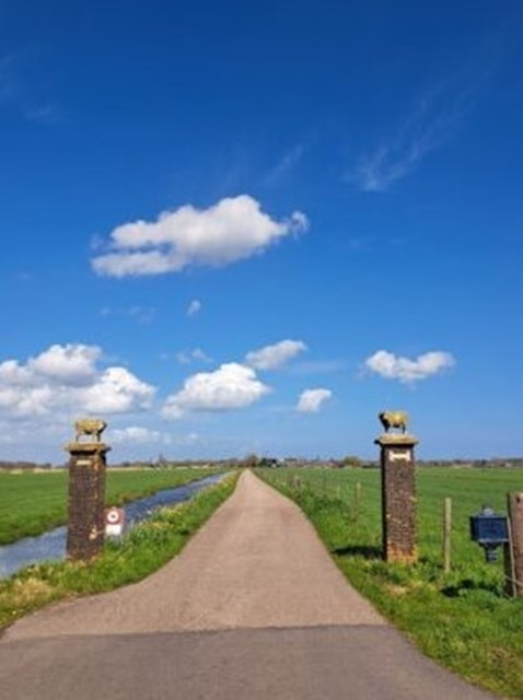 Foto 2: Broek in Waterland - Verdeek - Foto 2