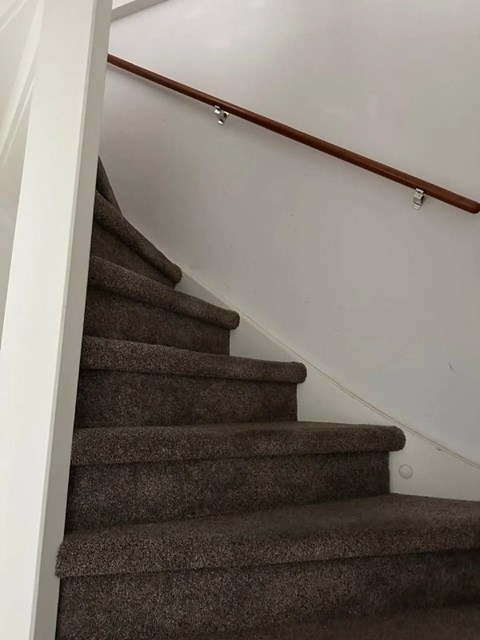 Foto 5: Almere - Petmolenstraat - Foto 5