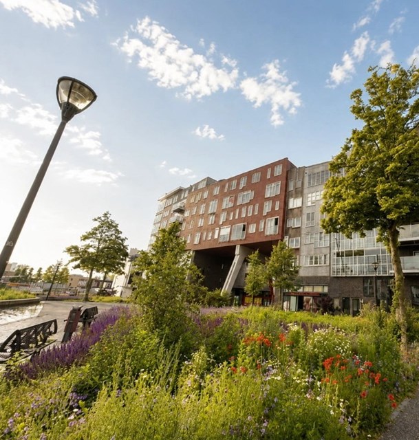 Foto 1: Dordrecht - Admiraalsplein - Foto 1