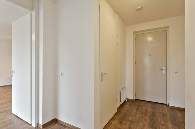 Foto 5: Eindhoven - Dommelhoefstraat - Foto 5