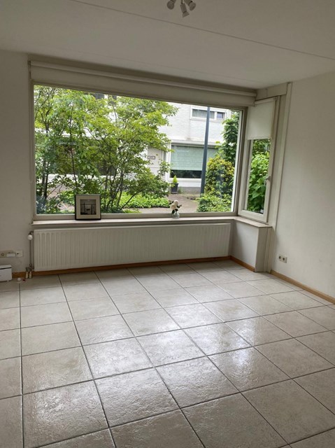Foto 2: Eindhoven - Zandtong - Foto 2