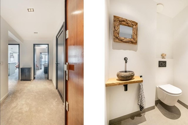 Foto 6: Noordwijk (ZH) - Duinroos - Foto 6