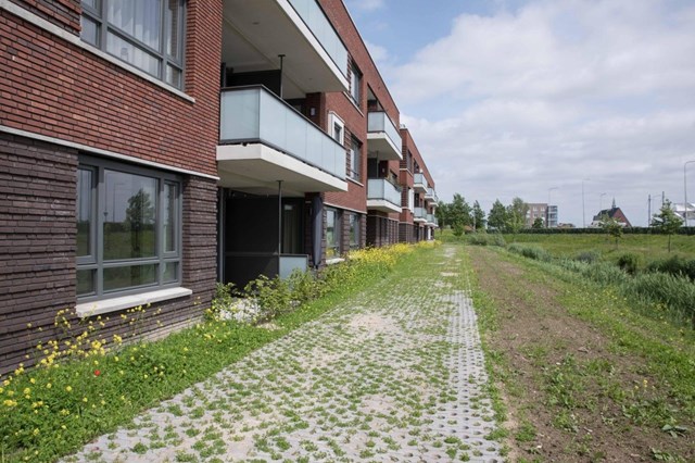 Foto 4: Barendrecht - Hedwigepolder - Foto 4