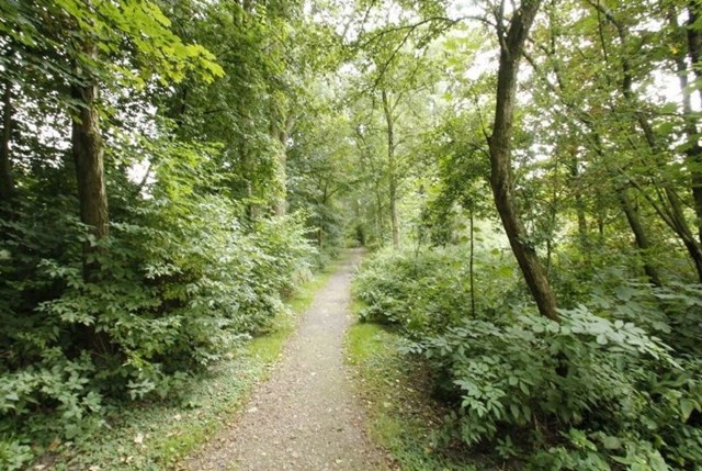 Foto 4: Utrecht - San Cristobaldreef - Foto 4