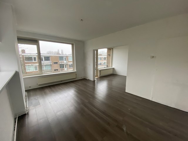 Foto 1: Rotterdam - Ruigenhoek - Foto 1