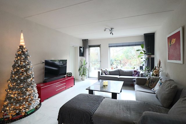 Foto 2: Amsterdam - Honingen - Foto 2