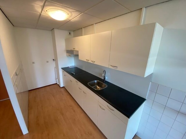 Foto 4: Heerhugowaard - Tamarixplantsoen - Foto 4