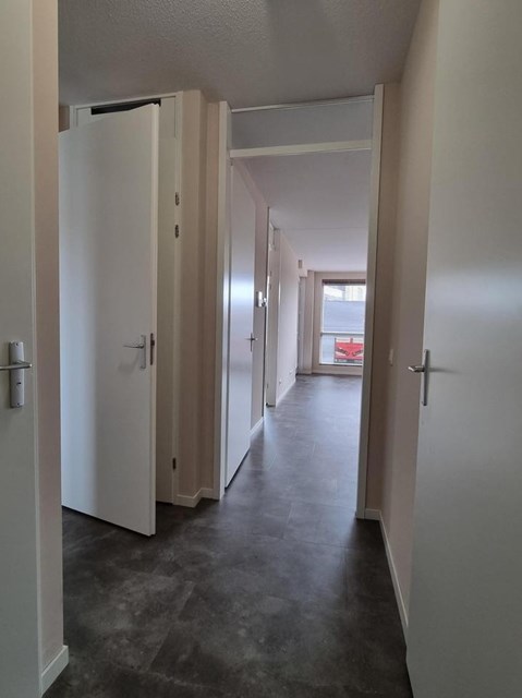 Foto 2: Terneuzen - Noordstraat - Foto 2