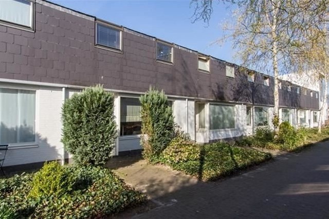 Foto 1: Eindhoven - Zandtong - Foto 1
