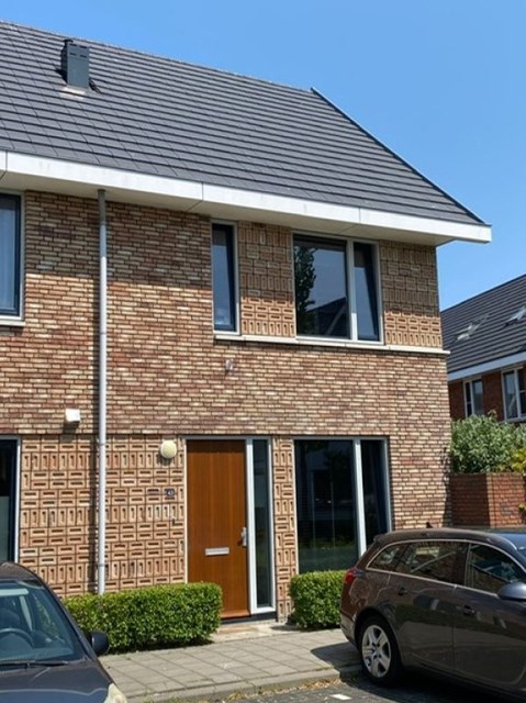 Foto 2: Schagen - Meerval - Foto 2