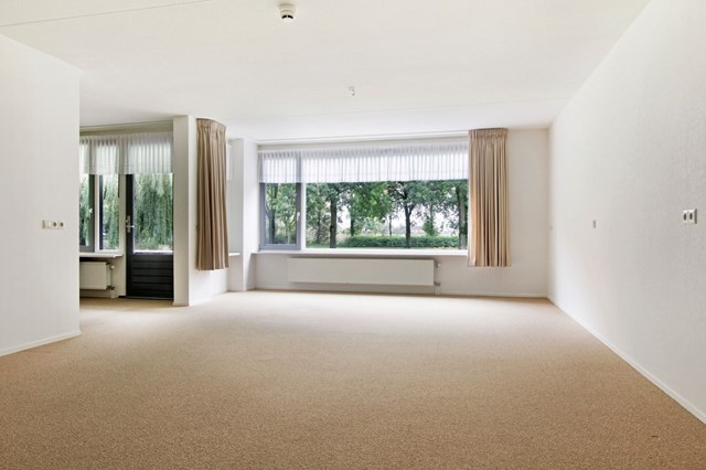 Foto 3: Hengelo (GE) - Steintjesweide - Foto 3