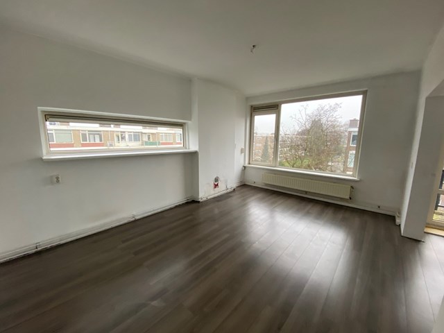 Foto 2: Rotterdam - Ruigenhoek - Foto 2
