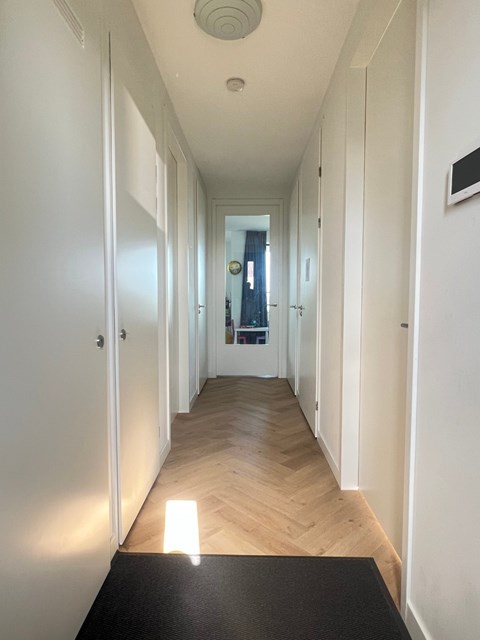 Foto 2: Rotterdam - Rosestraat - Foto 2