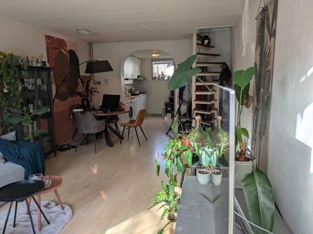 Foto 2: Alkmaar - Gedempte Nieuwesloot - Foto 2