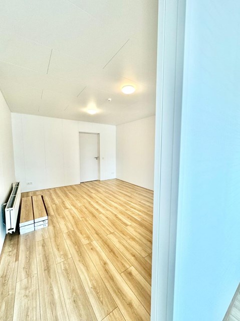 Foto 4: Eindhoven - Alard Du Hamelstraat - Foto 4