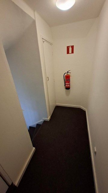 Foto 5: Den Bosch - Palmboomstraat - Foto 5