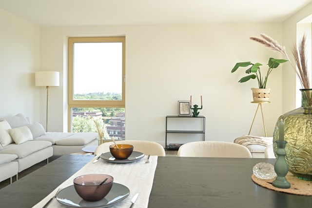 Foto 2: Den Haag - Boekweitkamp - Foto 2