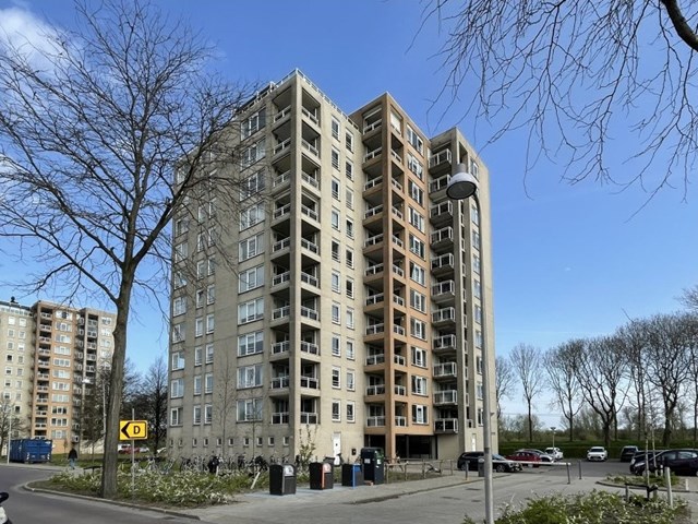 Foto 1: Diemen - Hermelijnvlinder - Foto 1