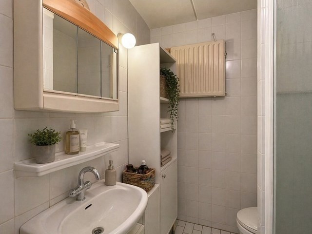 Foto 7: Diemen - Hermelijnvlinder - Foto 7