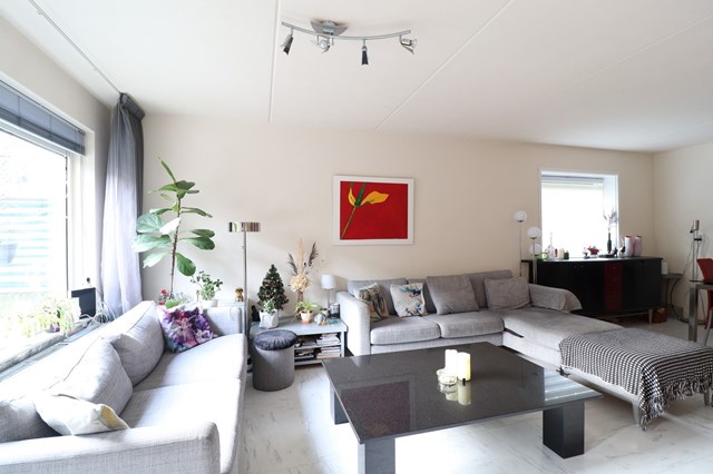 Foto 3: Amsterdam - Honingen - Foto 3