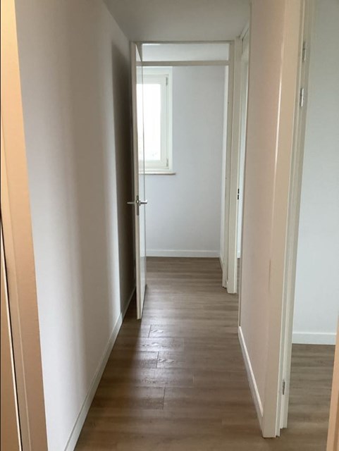 Foto 3: Heerlen - Apollolaan - Foto 3