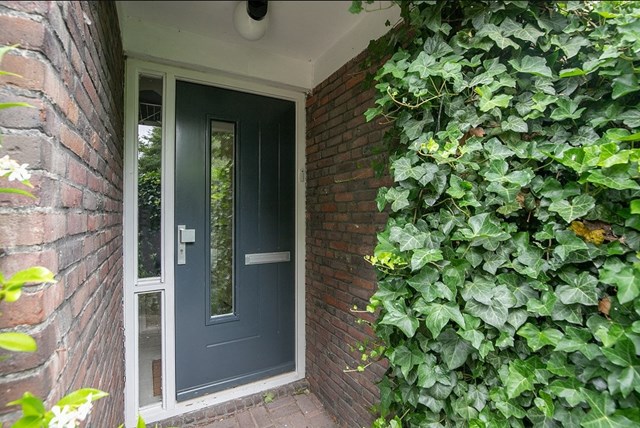 Foto 7: Haarlem - Pieter Wantelaan - Foto 7